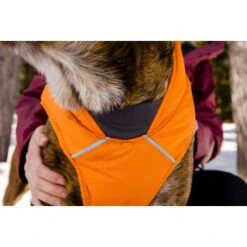 Ruffwear Quinzee™ Hundejacke Orange M 19 Ruffwear Quinzee™ Hundejacke Orange M -Haustier Lieferungen 001bdf29a34dffebf7840b4a759030f83c299732 1370013 de DE 17dd615b14a3a705025267b6458fddf099eb308bn8H5c2