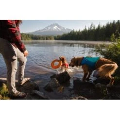 Ruffwear Hydro Plane™ Spielzeug M Orange -Haustier Lieferungen 006b8682fcf44b40a786d55bd2f1d1cf7f91a7a7 1364300 de DE b9c71d828876a94633bfda1055d03e137f81043ehPprdP