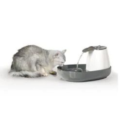 Savic Trinkbrunnen Cascade 7 Savic Trinkbrunnen Cascade -Haustier Lieferungen 015652a13201b792a2f2ee6a9e8dd8898bb9683d 8c309c40131ee8faa1171afc3e1d237432cd64c4