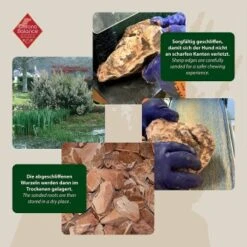 ChronoBalance Kauwurzel Für Hunde Baumheide 400 G -Haustier Lieferungen 02d91f4299eef8de1f5b0359bf410cef954de0e6 1409490 de DE ba8b2a31068658c9820512bd79f25900dbe0cd09ebMbro