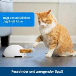 PetSafe Automatisches Katzenspielzeug Fox Den -Haustier Lieferungen 038232be25f9015ce160251d628e0af5cabbc69f 1351524 de DE dbeb3a30744bbc866a12a3ecd4f619007abf0a14xn8Dpf