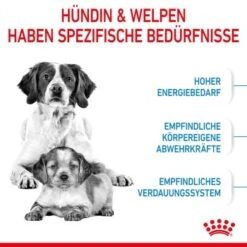 ROYAL CANIN Medium Starter 15 Kg -Haustier Lieferungen 03a28cbfa060fbe0cdfb173eaf6e1963dd73e6d3 c4664a5aa615f87e883339daf8410e0a16da2316