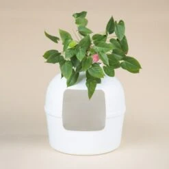 RHR Quality Katzentoilette Flower XXL -Haustier Lieferungen 045c34da52ea42a8ca93faa0ffc4384eb81e7dd2 1641853 de DE 9141ae2b51dfaf3b5b7cf3a1ab485e45a4e63ee0Obqwe6