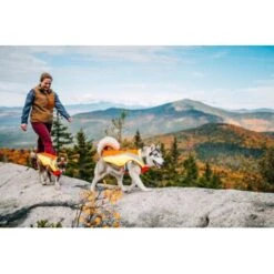 Ruffwear Lumenglow™ High-Vis Hundejacke Orange XL -Haustier Lieferungen 055f8ec457e40b7d33e9c275c20ea79bae1e006a 1378153 de DE e8b1f6094bc39d07bc90bd4fe7fc0806cf22bedaBId7iB