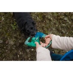 Ruffwear Pacific Ring™ Spielzeug Blau/ Türkis 13 Ruffwear Pacific Ring™ Spielzeug Blau/ Türkis -Haustier Lieferungen 07365c8c03348a7be23ff66a31807695c41eac94 1444351 de DE bb2133baab48cb1d262b89fa47f175638eb3f7fcb9JpcH