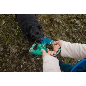 Ruffwear Pacific Ring™ Spielzeug Blau/ Türkis 5 Ruffwear Pacific Ring™ Spielzeug Blau/ Türkis – Bild 5