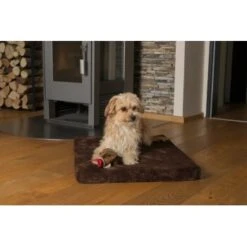 TrendPet VitaMedog Braun Für Comfort Wagon M -Haustier Lieferungen 07405e86602560ced1163a302f3d59312e92dc7c 1496697 de DE 71ee9fdb56c876f05b02661e6329cb242daeb80b6BTUU0