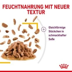 ROYAL CANIN SENSORY Taste In Soße Für Wählerische Katzen 12x85g 13 ROYAL CANIN SENSORY Taste In Soße Für Wählerische Katzen 12x85g -Haustier Lieferungen 09a059de2364eb51bda32aeffa36bbd6d1f3bdb1 8f299c34d454dffa470c5aa2d50e9f03e2c503d0