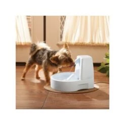 PetSafe Drinkwell Trinkbrunnen Original, 1,5 Liter 6 PetSafe Drinkwell Trinkbrunnen Original, 1,5 Liter -Haustier Lieferungen 0eafb4742dba6833f9a27c15a06f970e4cd3a735 e5e9d8abdbe4501019d4b3506e15c02aeff7b01c