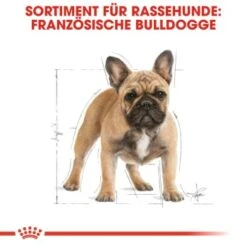 ROYAL CANIN Französische Bulldogge Adult 9 Kg -Haustier Lieferungen 1103d82fc7346a11a9ee81a9ab4bdcb41136307d 6122fbb549b8e1d90a8dc5cfef9eb2854b87768f