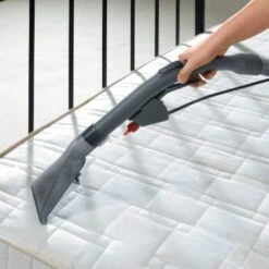 THOMAS AQUA FleckWasher -Haustier Lieferungen 12b5415ab4dfa47a898d2d88e4fda9291c949965 1652086 de DE a391b3882b29ccefc06c2ea8f6b629586decd1e46ZQsTn