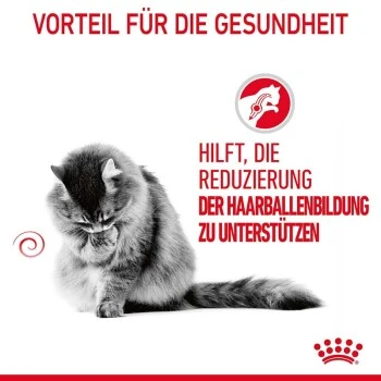 ROYAL CANIN Hairball Care 10 Kg 4 ROYAL CANIN Hairball Care 10 Kg – Bild 4