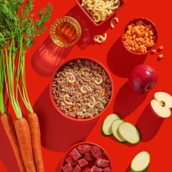 Fred & Felia FRED 10x200g Rind Mit Nudeln 4 Fred & Felia FRED 10x200g Rind Mit Nudeln – Bild 4