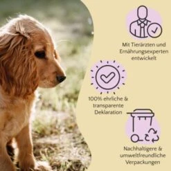 FAVLY Petfood Premium Naturkauartikel Kaninchenohren Mit Fell 360 G 5 FAVLY Petfood Premium Naturkauartikel Kaninchenohren Mit Fell 360 G -Haustier Lieferungen 1723031773900f8974b6582f7b858aabe5129f6d 1473998 de DE 803a18d1981b28cac6cbf941640c9f1c7007ec8b2gtdU1