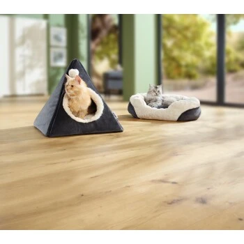 AniOne Höhle Luna 2 AniOne Höhle Luna – Bild 2