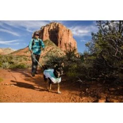 Ruffwear Swamp Cooler™ Kühlweste Für Hunde Grün S -Haustier Lieferungen 1b9d993514e0988806b41c08c21933ee919b490d 1639549 de DE 93109366ec424094c68188acfae1c741bc8c4ccc0UWVXo