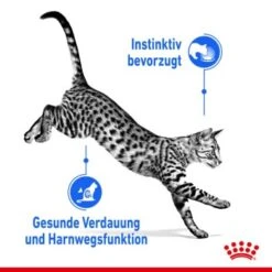 ROYAL CANIN Indoor Sterilised 12x85g In Gelee -Haustier Lieferungen 1bf9d609b9998b0ce738f1e4af7089787567ddbd bded06d91e43adbf2bf2d0ffe19d0e7dcc79167a