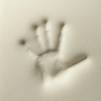 Rexproduct Otto Orthopädisches Hundebett Grau S-XL Graphit/nature S 3 Rexproduct Otto Orthopädisches Hundebett Grau S-XL Graphit/nature S – Bild 3