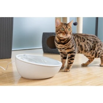 AniOne Keramik-Trinkbrunnen Waterfall Weiß Ohne Ersatzfilter 2 AniOne Keramik-Trinkbrunnen Waterfall Weiß Ohne Ersatzfilter – Bild 2