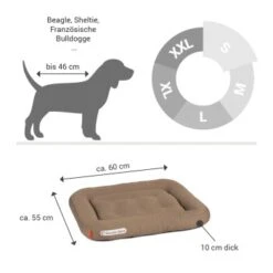 Doctor Bark Lounge-Kissen Sandbraun S -Haustier Lieferungen 2963b4baccec4fc858c8f95f66d3e8f46911bb05 1399026 de DE 90717154e6dd58a4c9c25001e3740a44ceb4b2abm9hHjz