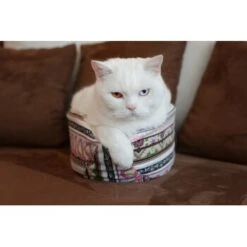 Canadian Cat Company Katzenschiff LUNA 9 Canadian Cat Company Katzenschiff LUNA -Haustier Lieferungen 2a794931f9263820d298c92486fc08c7b5fe3a35 1412669 de DE 46780a4b5da8fe052e5be00462eb02991658c41f2ZgeMs