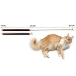 Schlitzohr Stabile Katzenangel Arnold -Haustier Lieferungen 2b03aaa8061d454c3b132f3d29075b579f022315 1484671 de DE 4db6a969e0582cf4b987acff93cb66c6c6149da6OAB1hx