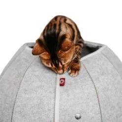 Canadian Cat Company Katzenhöhle In Kugelform S 11 Canadian Cat Company Katzenhöhle In Kugelform S -Haustier Lieferungen 2ecb868df2d3b2cf90a9092caebd3c19caa20008 1347679 de DE 9620a1f8944edc55aec2b992d490644e015c022abD41s1