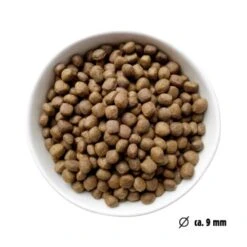 Eat Small EatSmall 2kg Mini Balance Trockenfutter -Haustier Lieferungen 2fab510faabbdb321240dcdc4e2325f2c9525161 1450725 de DE ef1a1257b12edf1ce0a516e027bab83024c70daeuHLglD
