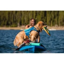 Ruffwear Hydro Plane™ Spielzeug L Blau/ Türkis -Haustier Lieferungen 3182973e4d2d3f04d1c88a483ada75b0da0b40b4 1364299 de DE 1b9b90a8c9802f9550dc8b34c08b951202478f9aXpyQQq