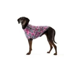 Ruffwear Climate Changer™ Fleece-Jacke Für Hunde Lila/ Grau XS 8 Ruffwear Climate Changer™ Fleece-Jacke Für Hunde Lila/ Grau XS -Haustier Lieferungen 31d08c48d82e56fa988a8efaad00ce115bf58a1e 1369648 de DE 0f7eaefedef9dc647cc2252d60c10845d7c68c4e58IpMU