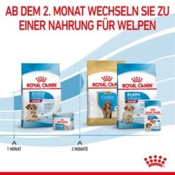 ROYAL CANIN Medium Starter 15 Kg -Haustier Lieferungen 323c948a6eab33359f3e5764f6ff7e36767b7df3 63bcd70a2b109cfaa9c260c3910751bd53fef802