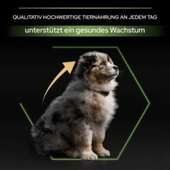 PRO PLAN Optistart Medium Puppy 3 Kg 13 PRO PLAN Optistart Medium Puppy 3 Kg -Haustier Lieferungen 358956cabb2065dd27e04a71eb360b94911ed0da 1206411 6