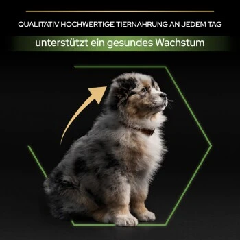 PRO PLAN Optistart Medium Puppy 3 Kg 6 PRO PLAN Optistart Medium Puppy 3 Kg – Bild 6