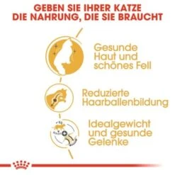 ROYAL CANIN Norwegian Forest Adult 10 Kg 12 ROYAL CANIN Norwegian Forest Adult 10 Kg -Haustier Lieferungen 35f747f3a246ac1026c8b21a4d6b84d72541816d 27437237589f91031e5751991c906b563ce7ae1f