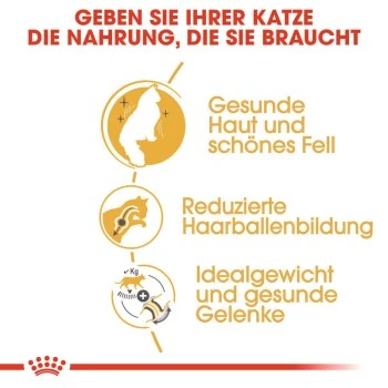 ROYAL CANIN Norwegian Forest Adult 10 Kg 6 ROYAL CANIN Norwegian Forest Adult 10 Kg – Bild 6