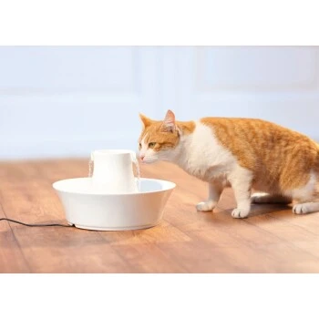 PetSafe Drinkwell Keramik Trinkbrunnen Avalon 2 Liter 2 PetSafe Drinkwell Keramik Trinkbrunnen Avalon 2 Liter – Bild 2