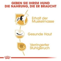 ROYAL CANIN Französische Bulldogge Adult 9 Kg -Haustier Lieferungen 3bd4ba1c987a0bad2d63e017fefb9a6a0e04ff1d f46cfcd28b4bf79ae86735da4bc649ba59405c77