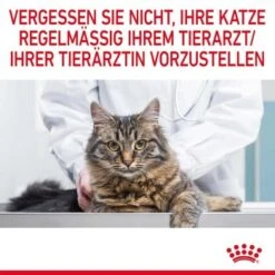ROYAL CANIN Hairball Care 10 Kg 21 ROYAL CANIN Hairball Care 10 Kg -Haustier Lieferungen 3c2da251695924b5d7e00f9c0778c2985578b0ef 1003122014 11