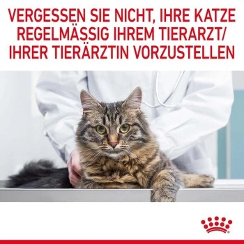 ROYAL CANIN Hairball Care 10 Kg 11 ROYAL CANIN Hairball Care 10 Kg – Bild 11