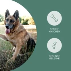 Mammaly Happy Hips 110g -Haustier Lieferungen 3c8bff51a0475eda30226950bbfaf91b8c4d5bf4 1472886 1 3