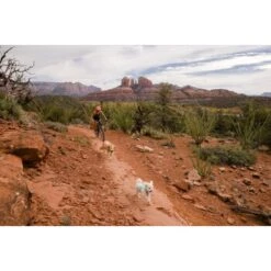 Ruffwear Swamp Cooler Zip™ Kühlweste Für Hunde Pink XL -Haustier Lieferungen 3f53abbb449b533ae19bdcc983422a810c1a6523 1639652 de DE 69e04235fc73e7ad617b0a7c576e77147e0d0f9aiqnSME