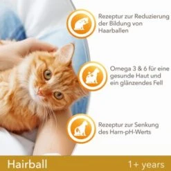 IAMS Vitality Adult Hairball Huhn 10 Kg -Haustier Lieferungen 401ab652809dfedce7c59c99ad81fce5347594eb 334b64ba35870c05d1378b1c3128cc83d6f79ac9