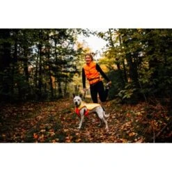 Ruffwear Lumenglow™ High-Vis Hundejacke Orange XL -Haustier Lieferungen 40663366cb362acd2f222531a6c489c5dd028940 1378153 de DE 6ea16c8681e07ff1404b1bde8c0b1b4ddb6fa478XOeqLy