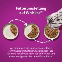 Whiskas Tasty Mix Multipack Chef's Choice In Sauce 40 X 85g -Haustier Lieferungen 409f4c41204a67499d9e04ea40f469165fcf23ac 1410720 de DE Whiskas 4