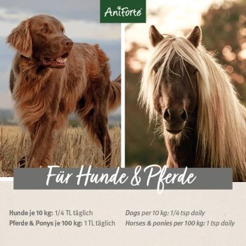 Aniforte Bio Ägyptisches Schwarzkümmelöl 500ml 3 Aniforte Bio Ägyptisches Schwarzkümmelöl 500ml – Bild 3