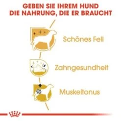 ROYAL CANIN Poodle Adult 7,5 Kg -Haustier Lieferungen 4355b892883386eeffdea0883bc90c793459812d bc34c65453008173386e7fdf784644e070da89b9