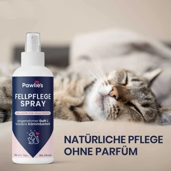 Pawlie's Fellpflege Für Hunde & Katzen 7 Pawlie's Fellpflege Für Hunde & Katzen – Bild 7