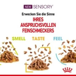 ROYAL CANIN SENSORY Smell In Gelee Für Wählerische Katzen 12x85g -Haustier Lieferungen 4a632532d23d065e189b82401db5c561b6749e74 bbe7e159ee2cfcc0155771b211da953377ec5c40