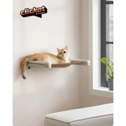 FEANDREA Clickat Katzenmöbel 2er Set, Kletterwand -Haustier Lieferungen 4a9143dfa07ee97ae4b87022cd8bf2fe1491f811 1681501 de DE a39910e1400039cebe0247b4991dedcb1a62d9dd4koAVO
