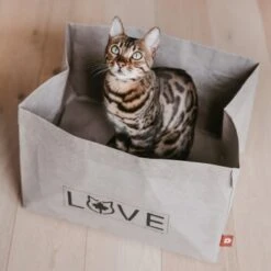 Canadian Cat Company Katzenbett Winnipeg 14 Canadian Cat Company Katzenbett Winnipeg -Haustier Lieferungen 4f163c23f3c00759be25633fb22100eb50b10eed 1360995 de DE e27163ea0c21fd571c9e22268b69a4d1b68affe5UBt2yy